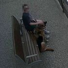 Bambina di 2 anni sbranata al viso da un pastore tedesco sulla pista ciclabile: è caccia alla proprietaria del cane