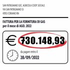San Patrignano, bolletta record da 730mila euro: «Costi insostenibili, attività della comunità a rischio»