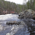 Il trionfo della natura "wild" a Ruka Kuusamo, Lapponia Finlandese