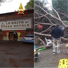 Montecatini Terme, cade pino e travolge "Baita di Babbo Natale": 7 feriti