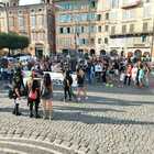 Capretta uccisa, manifestazione ad Anagni. Gli attivisti: «Basta violenze sugli animali»