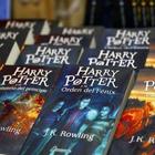 Harry Potter, libri rimossi dalla biblioteca degli studenti: «Rischiano di evocare gli spiriti maligni»