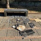 immagine Napoli Est, vandali nel parco di Ponticelli aspettando la videosorveglianza