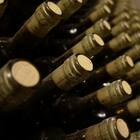 Amarone Costasera, maxi furto a Verona: sparite 9mila bottiglie di vino, valore 315 mila euro