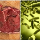 Listeria, i consigli per evitare le intossicazioni: cuocere gli alimenti a più di 65 gradi