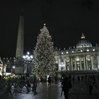 Ecco il segreto dei boscaioli polacchi per fare arrivare l'albero di Natale a San Pietro vivo e rigoglioso