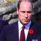 Il principe William è più apprezzato di Harry anche negli Stati Uniti: ecco cosa rivelano i dati