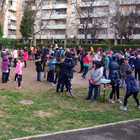 Allarme ratti alla scuola elementare Angelica Balabanoff di Colli Aniene: genitori e alunni in protesta