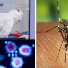 Dengue, boom di morti per la zanzara in Argentina: allarme anche in Europa