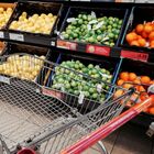 Caro spesa, arrivano i prodotti a prezzi calmierati: l'inflazione abbatte i consumi, gli italiani in cerca di sconti