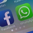 Whatsapp, Facebook e Instagram down: ecco cos'è accaduto ieri. «Problema risolto nella notte»