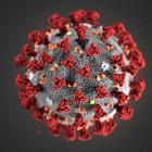 Coronavirus, studio su Nature: «Non è stato prodotto in laboratorio»”