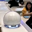 I camerieri robot del futuro