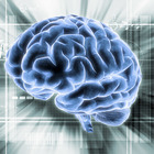Parkinson, ultrasuoni “sparati” sul cervello fermano i tremori