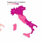 Covid, la variante inglese cresce in Italia: nell'ultimo mese è arrivata all'86.7% di diffusione. Il report dell'ISS