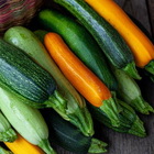 Zucchine, i benefici segreti: cosa succede se le mangi tutti i giorni