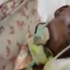 Napoli, donna ricoverata all'ospedale San Giovanni Bosco ricoperta di formiche: il video choc