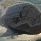 Russia, chiude la "prigione delle balene": cetacei liberati in mare