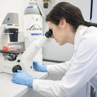 Coronavirus, vaccino australiano supera i test di laboratorio: al via sperimentazione animale