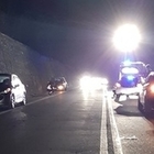 Rieti, incidente sulla Salaria Tre veicoli coinvolti dopo l'attraversamento di un cinghiale