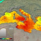 Mediterraneo sempre più caldo