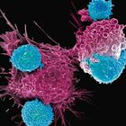Cancro, nuove terapie geniche