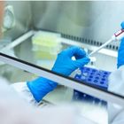 A Pomezia vaccino allo studio: test sull'uomo a fine aprile in Inghilterra