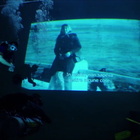 Proiezione di film sott'acqua nella piscina più profonda del mondo, la Y40 in occasione della Mostra del Cinema