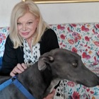 Sandra Milo, la sofferenza dei sui cani dopo la morte: «Piangono, tremano e la cercano». A chi saranno affidati