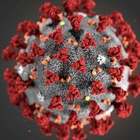 Coronavirus, Iss: «A 37 gradi resiste un giorno, a 27 una settimana»