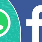 Coronavirus, Facebook e WhatsApp lanciano il fact-checking contro le fake news