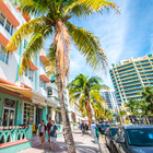 Miami Beach verso l'addio alle famose palme: «L'emergenza climatica cambierà il paesaggio»
