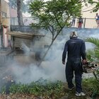 Dengue, due casi in Italia