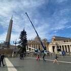 Roma, arriva l'albero di Natale a Piazza San Pietro: dopo le polemiche la pianta è stata sostituita