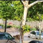 Spagna, bomba d'acqua a Saragozza: le persone aggrappate al tettino delle auto