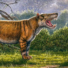 Kenya, scoperto un "Leone Gigante" di 20 milioni di anni fa: pesava come un elefante