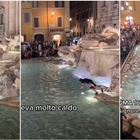 Roma, tuffo notturno nella Fontana di Trevi tra gli olé della gente. «Faceva molto caldo». Il video social