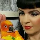 Maria, la donna che sussurra ai pappagalli: «Hanno qualità straordinarie, ecco quali»