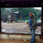 Aprilia, lo zoo delle star chiede aiuto, Berquiny: «Serve cibo per i nostri animali, siamo in grande difficoltà»