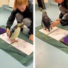 I pinguini dell'acquario texano costretti a "dipingere" quadri venduti ai visitatori. Gli animalisti: «Educazione ambientale?»
