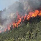 Incendi in montagna a Sarno, arrestato piromane