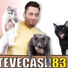 È morto Steve Cash, si è sparato lo youtuber che faceva parlare i gatti: il dolore di milioni di follower