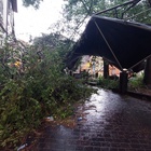 Maltempo a Terni, strutture danneggiate e alberi in mezzo alle strade Fotogallery Angelo Papa