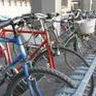 Treviso, rubava biciclette e monopattini: arrestato il ladro seriale. Più di 30 furti e morsi a un agente pur di scappare