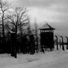 Auschwitz-Birkenau: il 27 gennaio di 75 anni fa la liberazione dei campi di sterminio