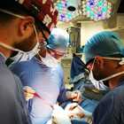 Tumore di 70 chili asportato a una paziente, intervento record all'ospedale Le Molinette di Torino