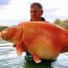 Pesce rosso da 30 chili, la strana pesca  