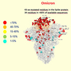 Omicron e Delta: una è veloce, l'altra è pericolosa