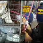 Napoli, 12 lavoratori in nero in un sito illecito per i rifiuti