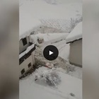 VIDEO Valanga in un centro abitato della Val Martello, Alto Adige